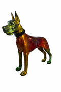 Dog Allemand Caméleon
