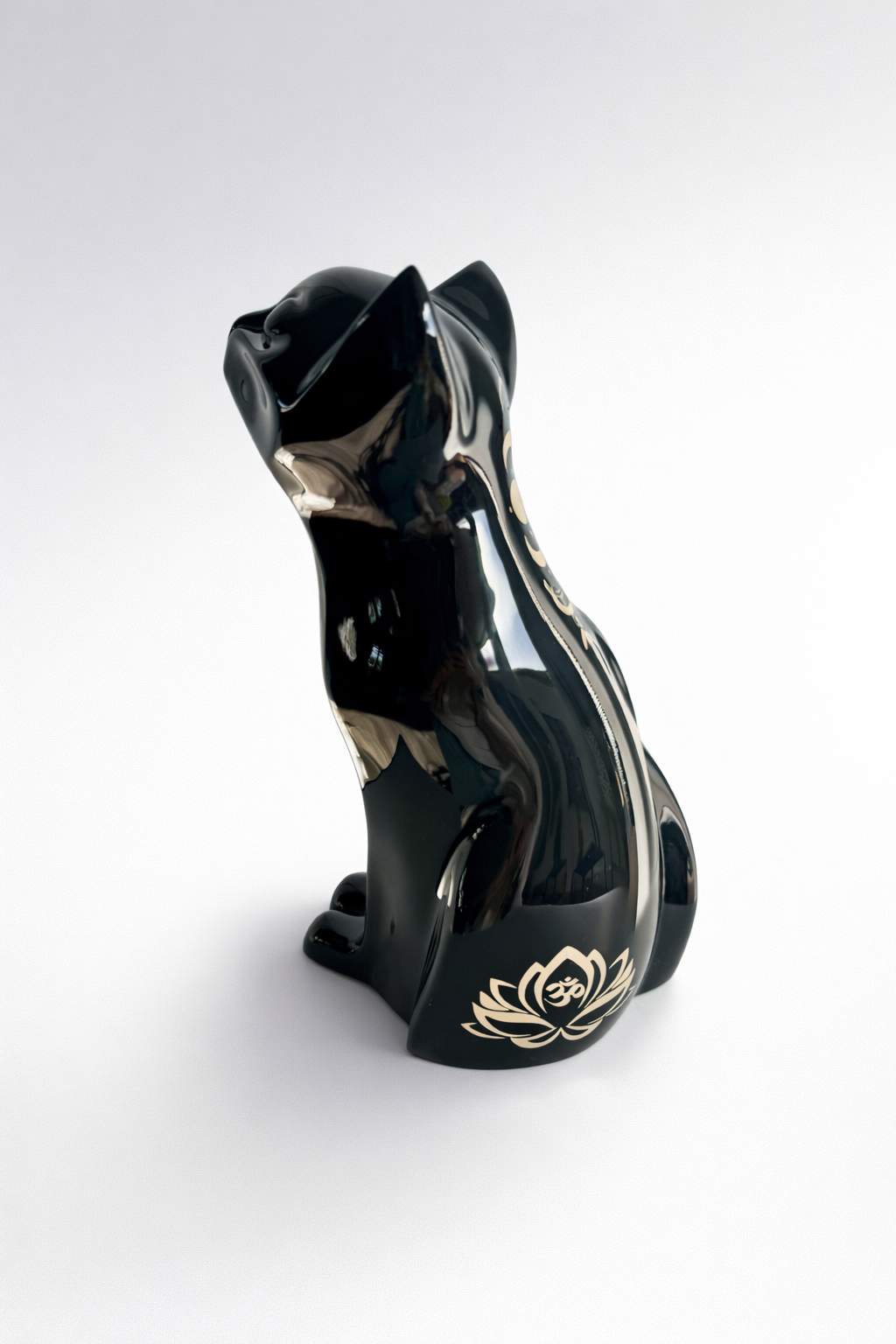 Chat noir brillant - Phénix