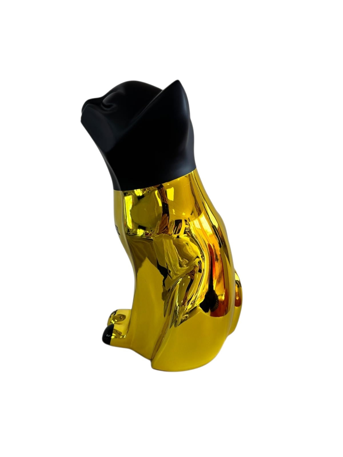 Chat Or