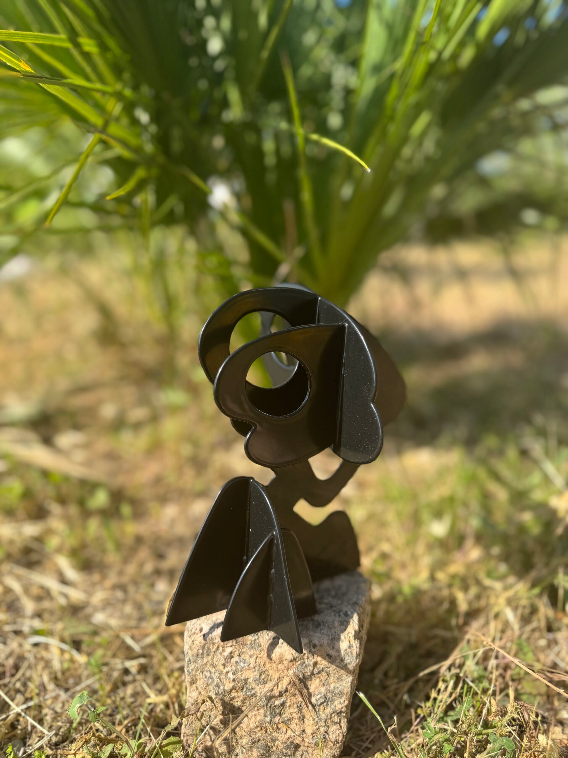 Arbre Pin Parasol - Noir - 20cm