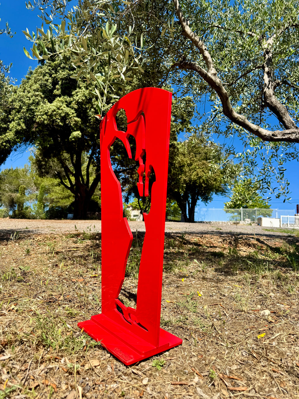 Essentielle du Saxo de jardin - R. Drouin