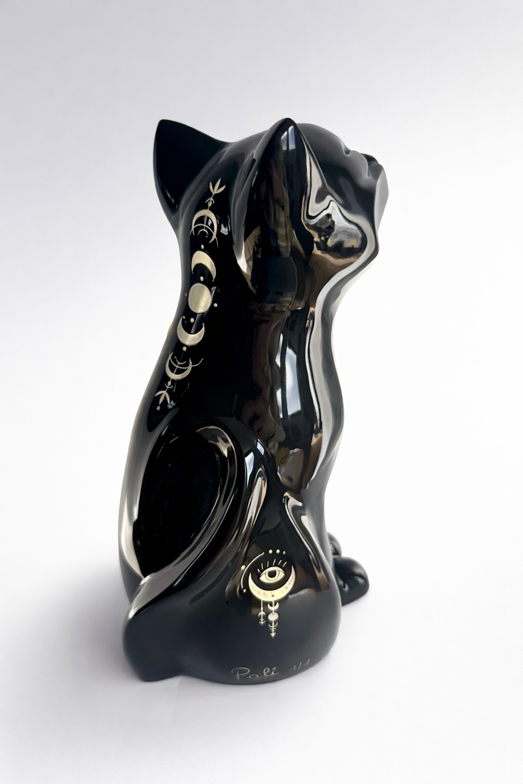 Chat noir brillant - Phénix