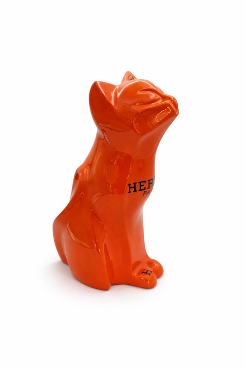 Orange cat