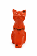 Orange cat